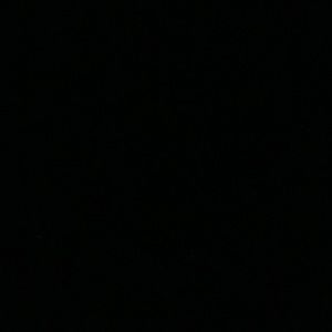 Meet your Posher, Daniela